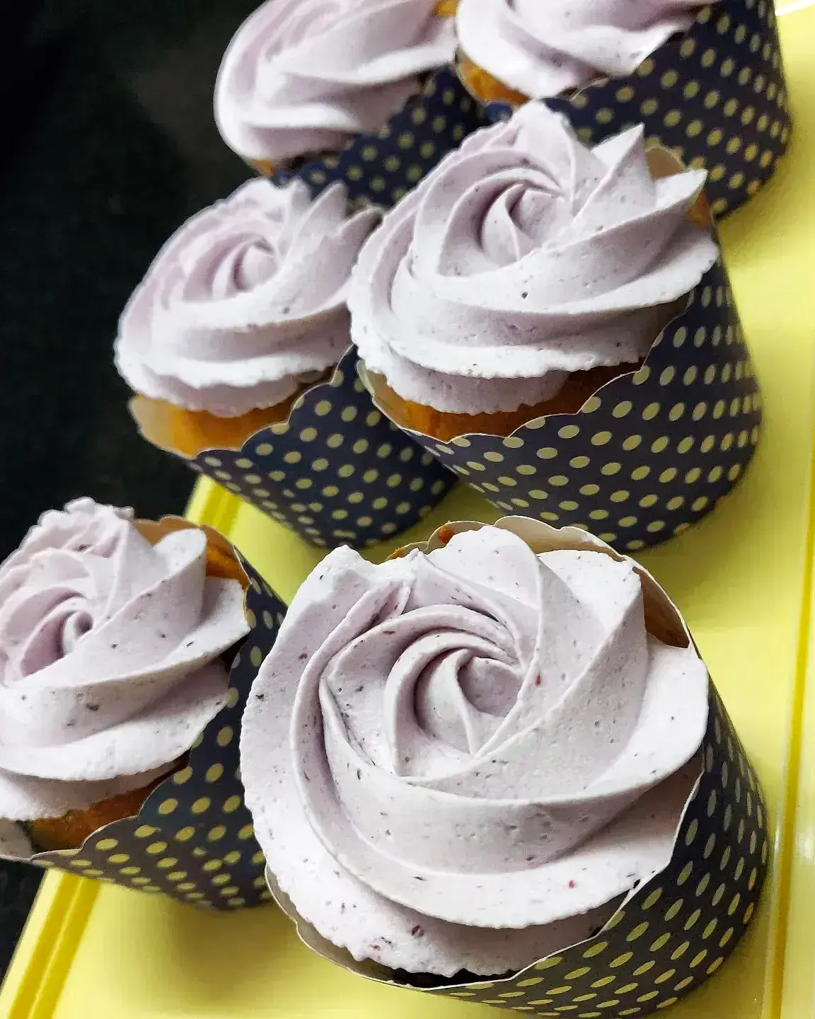 Blueberry Cupcakes