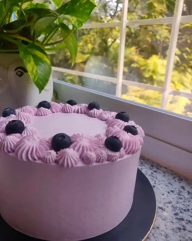 Blueberry Cake