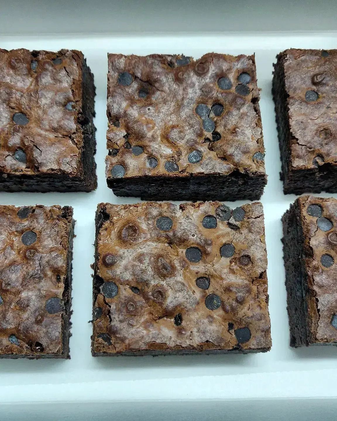 Choco Chip Brownie