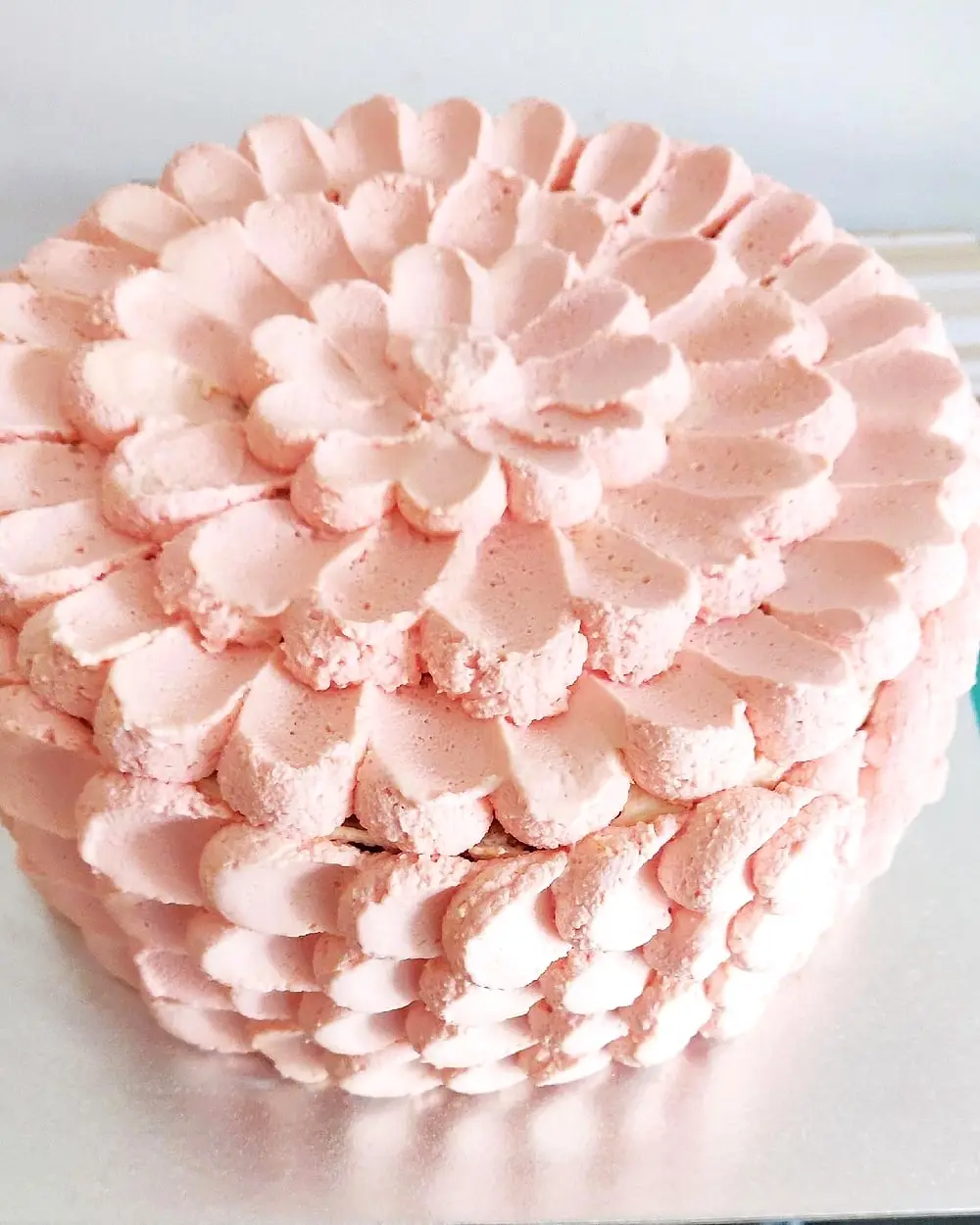 Pink rosettes