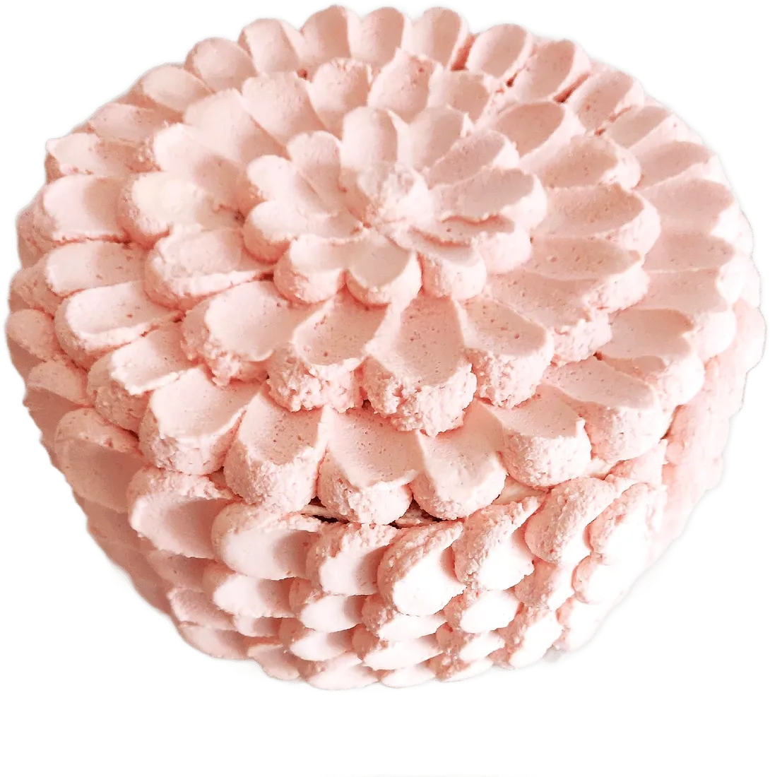 Pink rosette cake by Aakansha